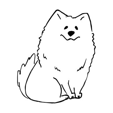 White cute smiling samoyed dog hand drawn vector llustration doodle. Puppy cartoon character design outline sketch. Concept for kids children print, poster design, wrapping paper, pattern