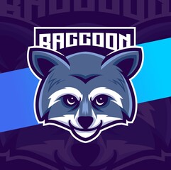 raccoon head character logo design