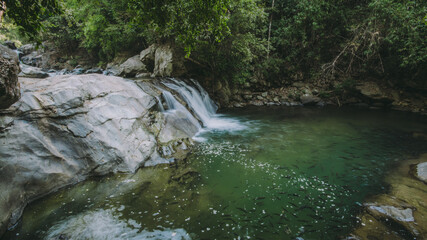 Waterfall in the forest in the middle of the valley.