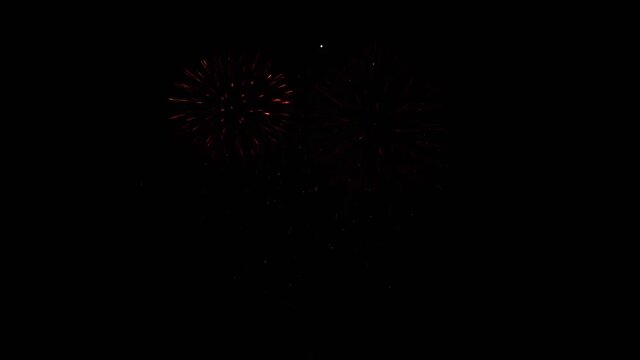 Exploding fireworks lighting up the night sky