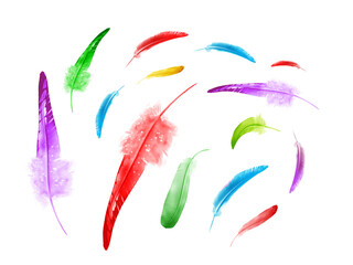 Fototapeta na wymiar Beautiful color feathers isolated on white background