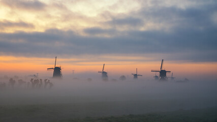 Fototapeta na wymiar Traditionelle Windmühlen bei Sonnenaufgang im Nebel, Kinderdijk in Holland