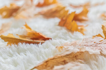 Close up yellow leaf on white carpet.