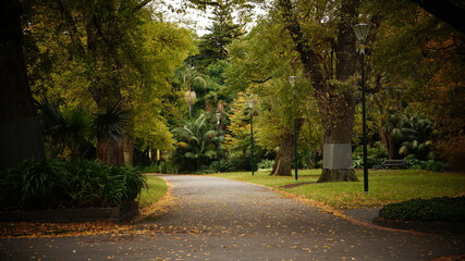 autumn in the park