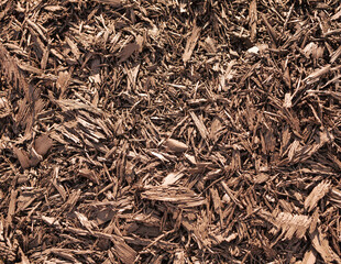 Brown wood chips heap on ground surface for protect moisture as futile soil while plant seasonal agriculture with natural sunlight, top view. Wooden mulch for cultivation garden. Nature background.