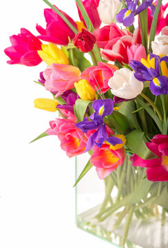 Many beautiful colorful tulips with leaves in a glass vase isolated on transparent background. Photo with fresh spring flowers for any festive design