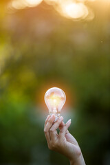 light bulb against nature, icons