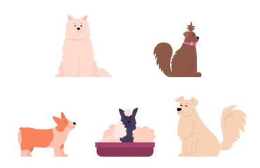 Set of funny various purebred dogs, cartoon vector illustration isolated.