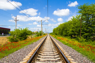 Fototapeta na wymiar Rails view in Georgia, train road and station, lines and horizon with poppy and yellow flower