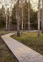 Stone path in the park. The broken curve of the pedestrian path in the spring park of the Square of Glory among the bare birches. Novosibirsk, Siberia, Russia