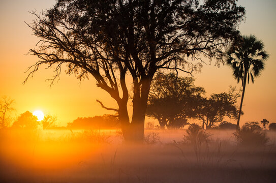 Sunrise in Africa, Botswana