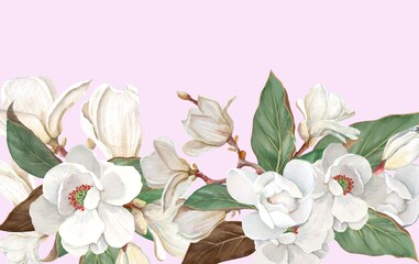 bouquet of white magnolias on a pink background