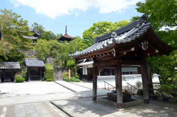 Fototapeta premium 新緑の善峯寺 境内 京都市西京区