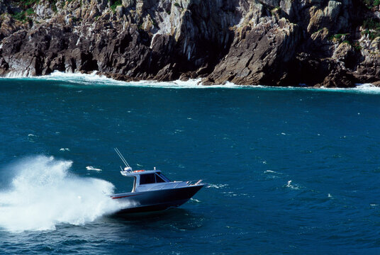 Speed boat on calm water in Mercury Bay