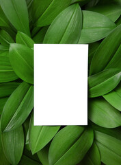 Fototapeta na wymiar White invitation card mockup on leaves background. 5x7 ratio. 