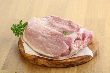 Piece of the raw pork meat