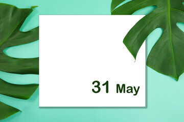Day 31 of May month, Fresh green Monstera leaf on green background and white paper. Empty space for text.