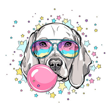 Cute weimaraner dog head on a background of stars. Image for printing on any surface	