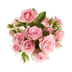 Beautiful pink rose flowers arrangement isolated on white background