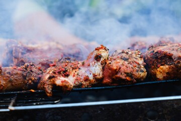 Summer nature grill bbq meat,  fire spring.