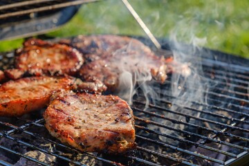 Summer nature grill bbq meat,  garden party.