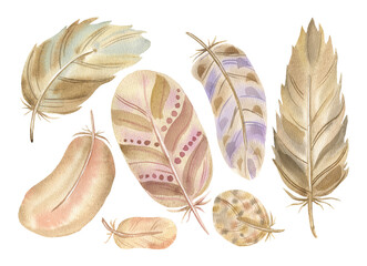 Set of beautiful fabulous feathers hand-drawn in watercolor isolated on a white background.