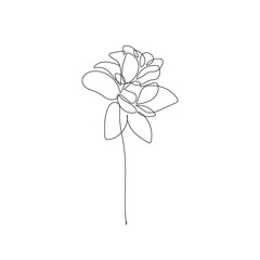 Flower of Lotus Vector Hand Drawn Line Art Drawing. Minimalist Trendy Contemporary Floral Design Perfect for Wall Art, Prints, Social Media, Posters, Invitations, Branding Design.
