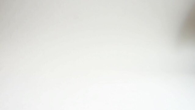 The cat plays with a red toy mouse on a white background, grabs it with its paw. A fur toy for a pet with catnip.