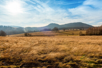 open air meadow with faded grass in a autumn season with forest and mountains on a horizon