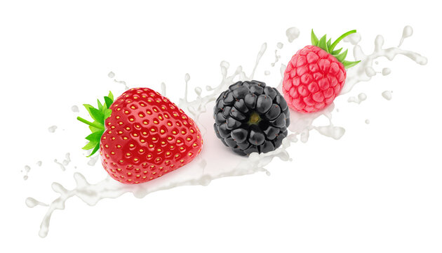 Strawberry, blackberry and raspberry in milk splashes isolated on white background.