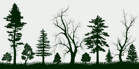 Forest, park, alley. Landscape of isolated trees. Silhouette vector.