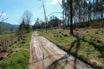 Fototapeta na wymiar The gravel and muddy forest road in the countryside in south Bohemia in Czech Republic pictured during the bright sunny spring day. 