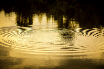 Abstract water concentric radial wave for backdrop. Droplet drops on the water surface for background.