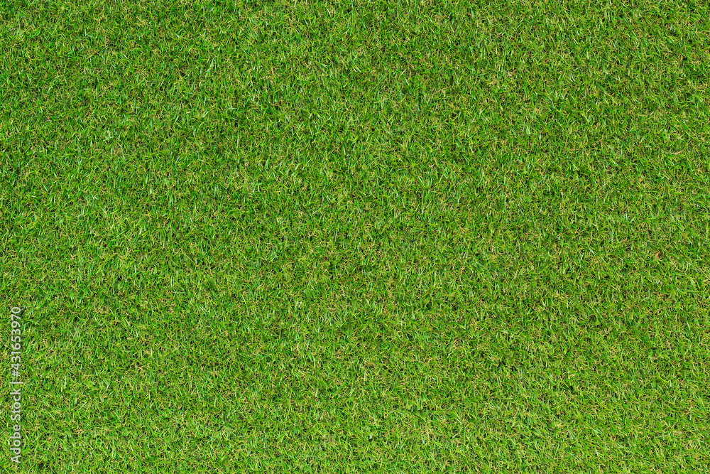 Canvas Prints artificial grass texture for background