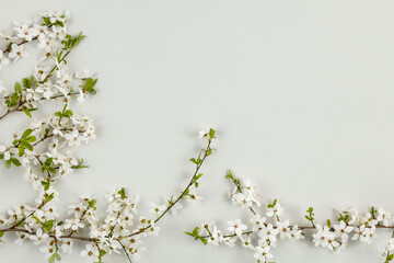 Spring flowers blooming on the table seen from above 