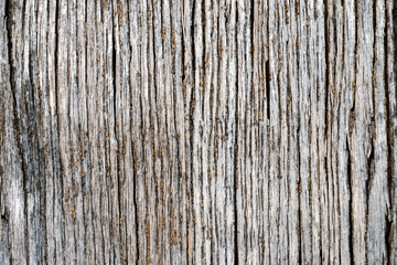 Fototapeta premium Background of an old wooden wall with vertical cracks