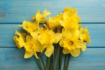 Beautiful daffodil bouquet on blue wooden table, top view