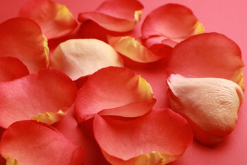 Fototapeta premium Beautiful fresh rose petals on coral background, closeup