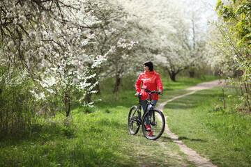 Fototapeta premium Beautiful woman on a bike in a blooming spring garden. Beautiful mature woman posing for the camera in a blooming spring garden. 