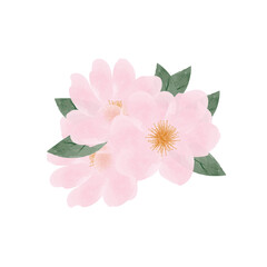Fototapeta premium Artistic watercolor of pink roses blossoms in summer