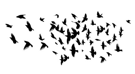 A flock of flying birds. Vector illustration