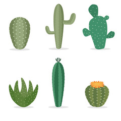 Cactus Collections Set