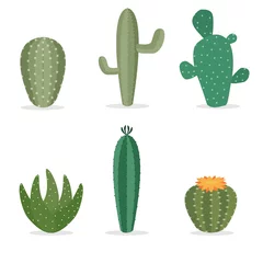 Raamstickers Cactus Cactus collecties instellen. vectorillustratie