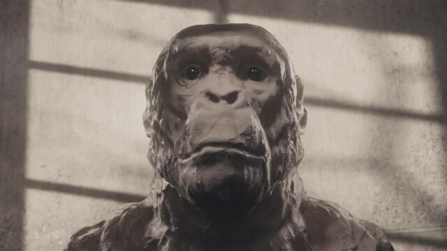 Ape or primitive man head sculpture. High quality black and white 4k footage