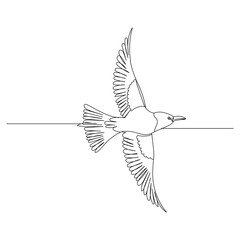 sketch bird one line drawing