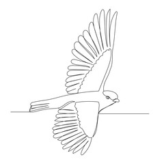 isolated, sketch bird one line drawing