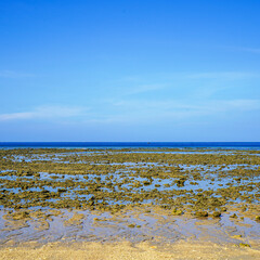 Ebb tide. Strong low tide in the tropical sea. Low tide on Koh Lanta.