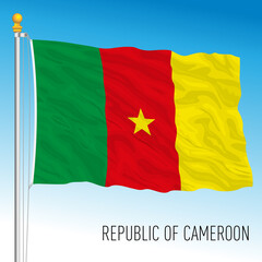 Cameroon official national flag, african country, vector illustration