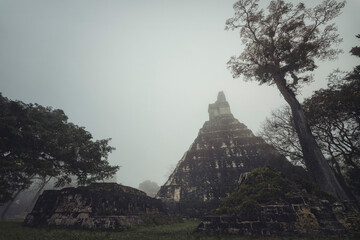 Tikal Temples in  the early morning, Guatemala