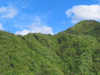 新緑の山と青空と雲